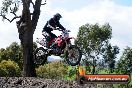 Harley club Motorcross fun day 26 08 2012 - 6SH_0497