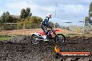 Harley club Motorcross fun day 26 08 2012 - 6SH_0512