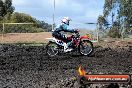 Harley club Motorcross fun day 26 08 2012 - 6SH_0563