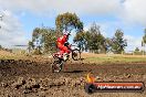 Harley club Motorcross fun day 26 08 2012 - 6SH_0583