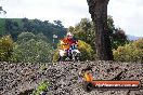 Harley club Motorcross fun day 26 08 2012 - 6SH_0601