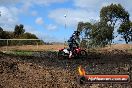 Harley club Motorcross fun day 26 08 2012 - 6SH_0650