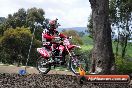 Harley club Motorcross fun day 26 08 2012 - 6SH_1170