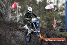M.R.M.C MotorCross Broadford 05 08 2012 - 4SH_8429
