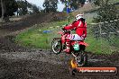 MRMC Motorcross Day Broadford 16 09 2012 - 7SH_3135