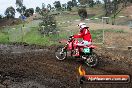 MRMC Motorcross Day Broadford 16 09 2012 - 7SH_3369