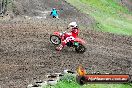 MRMC Motorcross Day Broadford 16 09 2012 - 7SH_3479