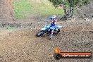 MRMC Motorcross Day Broadford 16 09 2012 - 7SH_3491