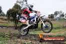 MRMC Motorcross Day Broadford 16 09 2012 - 7SH_4419