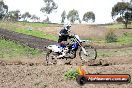 MRMC Motorcross Day Broadford 16 09 2012 - 7SH_4477