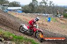 MRMC Motorcross Day Broadford 16 09 2012 - 7SH_4695