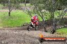 MRMC Motorcross Day Broadford 16 09 2012 - 7SH_4699