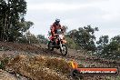 MRMC Motorcross Day Broadford 16 09 2012 - 7SH_4709