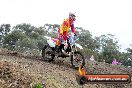 MRMC Motorcross Day Broadford 16 09 2012 - 7SH_4845