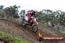 MRMC Motorcross Day Broadford 16 09 2012 - 7SH_4924