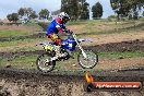 MRMC Motorcross Day Broadford 16 09 2012 - 7SH_5090