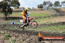 MRMC Motorcross Day Broadford 16 09 2012 - 7SH_5296