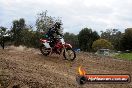 MRMC Motorcross Day Broadford 16 09 2012 - 7SH_5531