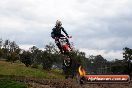 MRMC Motorcross Day Broadford 16 09 2012 - 7SH_5678