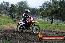 MRMC Motorcross Day Broadford 16 09 2012 - 7SH_6592