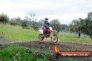 MRMC Motorcross Day Broadford 16 09 2012 - 7SH_6770