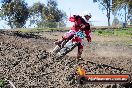 MRMC Motorcross Day Broadford 14 10 2012 - MRMC_0492