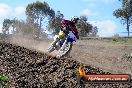 MRMC Motorcross Day Broadford 14 10 2012 - MRMC_1839