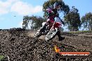 MRMC Motorcross Day Broadford 14 10 2012 - MRMC_1906