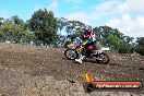 MRMC Motorcross Day Broadford 18 11 2012 - SH3_1825