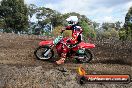 MRMC Motorcross Day Broadford 18 11 2012 - SH3_2153