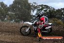 MRMC Motorcross Day Broadford 18 11 2012 - SH3_2249