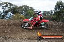 MRMC Motorcross Day Broadford 18 11 2012 - SH3_2509