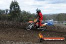 MRMC Motorcross Day Broadford 18 11 2012 - SH3_2546