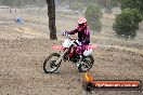 MRMC Motorcross Day Broadford 18 11 2012 - SH3_2889