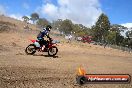 MRMC Motorcross Day Broadford 18 11 2012 - SH3_3100