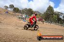 MRMC Motorcross Day Broadford 18 11 2012 - SH3_3398