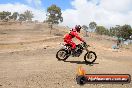 MRMC Motorcross Day Broadford 18 11 2012 - SH3_3601
