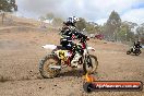 MRMC Motorcross Day Broadford 18 11 2012 - SH3_3895