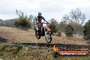 MRMC Motorcross Day Broadford 18 11 2012 - SH3_5297
