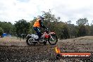 MRMC Motorcross Day Broadford 18 11 2012 - SH3_5868