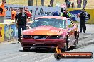 NITRO ACTION Calder Park 10 11 2012 - LA9_8179