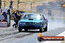 NITRO ACTION Calder Park 10 11 2012 - LA9_8225