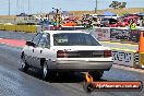 NITRO ACTION Calder Park 10 11 2012 - LA9_8276