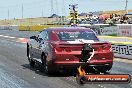 NITRO ACTION Calder Park 10 11 2012 - LA9_8348