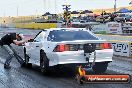 NITRO ACTION Calder Park 10 11 2012 - LA9_8375