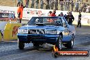 NITRO ACTION Calder Park 10 11 2012 - LA9_8534