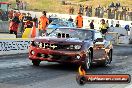 NITRO ACTION Calder Park 10 11 2012 - LA9_8616