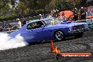 Valvoline Springnats 2012 Car Festival Part 1 - SpringNats_20_-_Nov_2012_1654