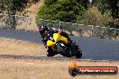 Champions Ride Day Broadford 26 01 2013 - SH7_6252