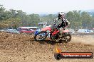 MRMC Motorcross Day Broadford 20 01 2013 - SH6_8529